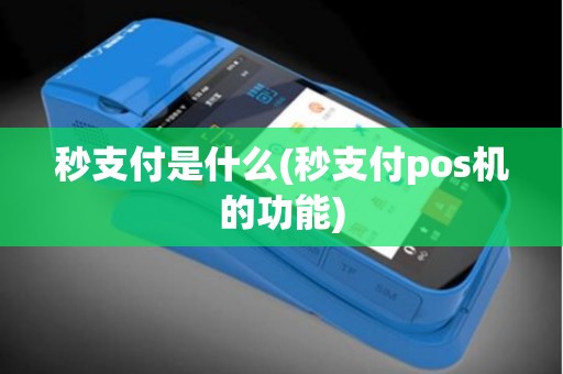 秒支付是什么(秒支付pos机的功能)