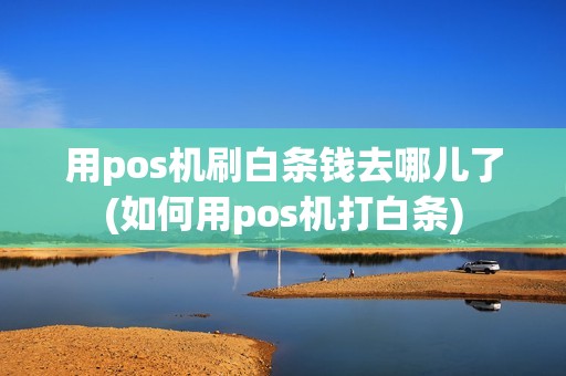用pos机刷白条钱去哪儿了(如何用pos机打白条)
