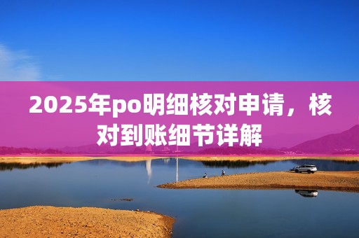 2025年po明细核对申请，核对到账细节详解