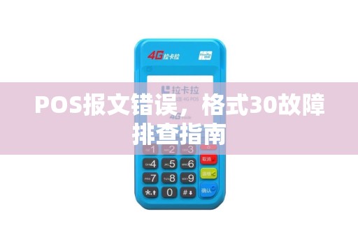 POS报文错误，格式30故障排查指南