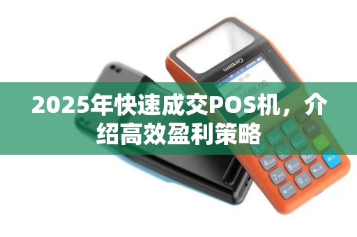 2025年快速成交POS机，介绍高效盈利策略