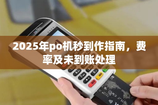 2025年po机秒到作指南，费率及未到账处理