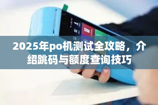 2025年po机测试全攻略，介绍跳码与额度查询技巧