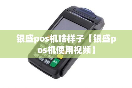 银盛pos机啥样子【银盛pos机使用视频】