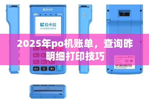 2025年po机账单，查询昨明细打印技巧