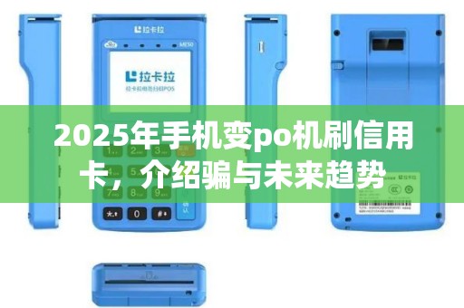 2025年手机变po机刷信用卡，介绍骗与未来趋势