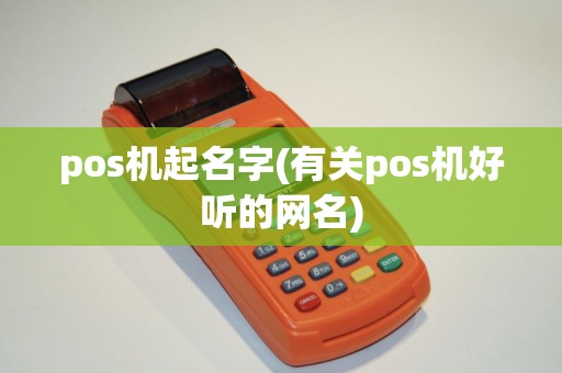 pos机起名字(有关pos机好听的网名)