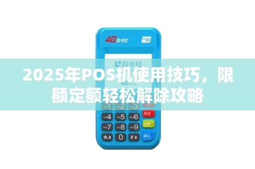 2025年POS机使用技巧，限额定额轻松解除攻略