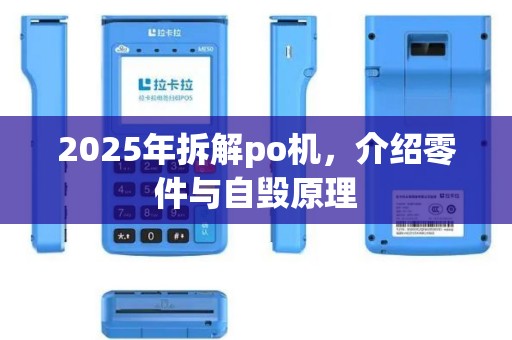 2025年拆解po机，介绍零件与自毁原理