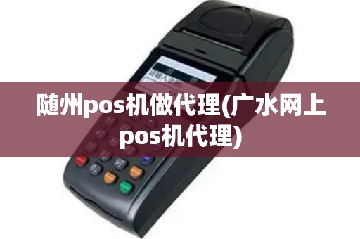 随州pos机做代理(广水网上pos机代理)