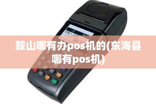 鞍山哪有办pos机的(东海县哪有pos机)