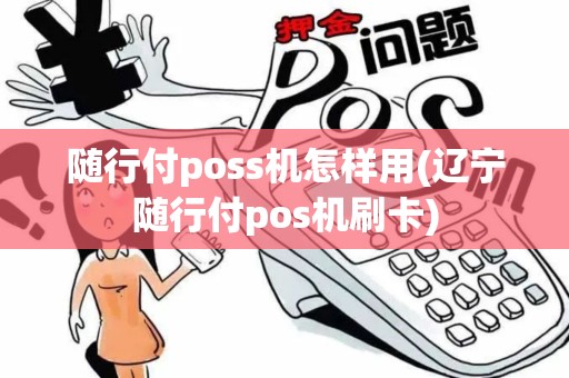 随行付poss机怎样用(辽宁随行付pos机刷卡)