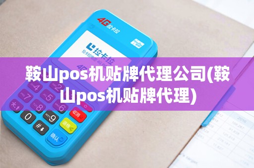鞍山pos机贴牌代理公司(鞍山pos机贴牌代理)