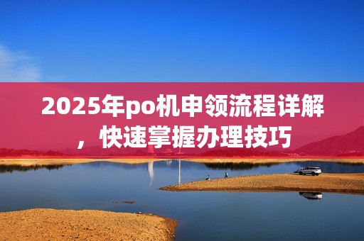 2025年po机申领流程详解，快速掌握办理技巧