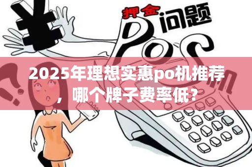 2025年理想实惠po机推荐，哪个牌子费率低？