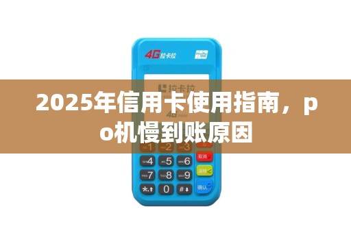 2025年信用卡使用指南，po机慢到账原因