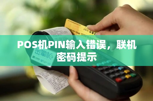 POS机PIN输入错误，联机密码提示