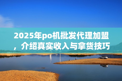 2025年po机批发代理加盟，介绍真实收入与拿货技巧