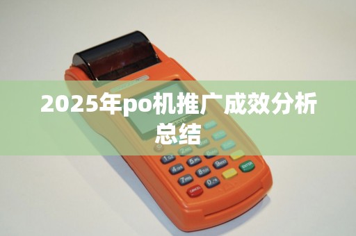 2025年po机推广成效分析总结