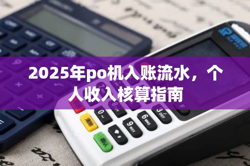 2025年po机入账流水，个人收入核算指南