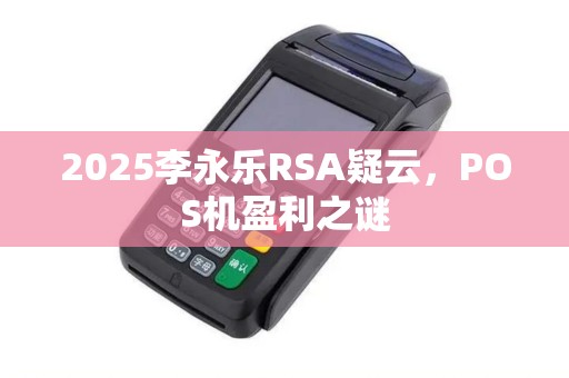2025李永乐RSA疑云，POS机盈利之谜