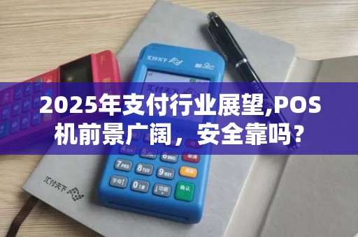 2025年支付行业展望,POS机前景广阔，安全靠吗？