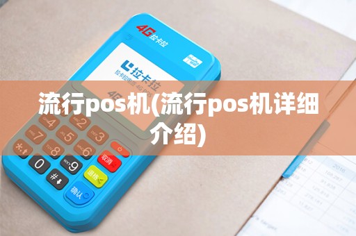 流行pos机(流行pos机详细介绍)
