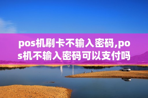 pos机刷卡不输入密码,pos机不输入密码可以支付吗