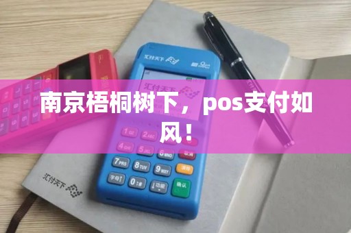 南京梧桐树下，pos支付如风！