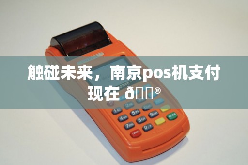 触碰未来，南京pos机支付现在 🔮