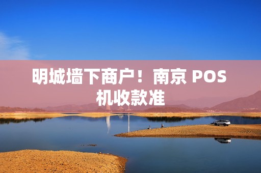 明城墙下商户！南京 POS 机收款准