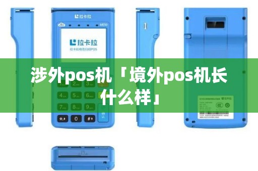 涉外pos机「境外pos机长什么样」
