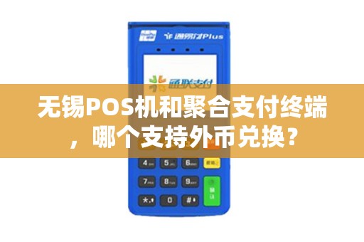 无锡POS机和聚合支付终端，哪个支持外币兑换？