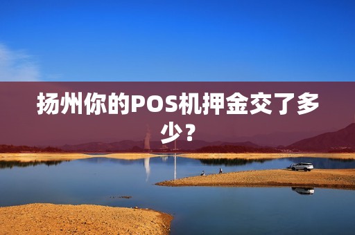 扬州你的POS机押金交了多少？