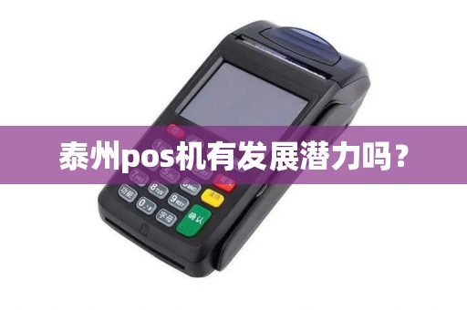 泰州pos机有发展潜力吗？