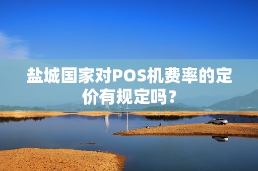 盐城国家对POS机费率的定价有规定吗？
