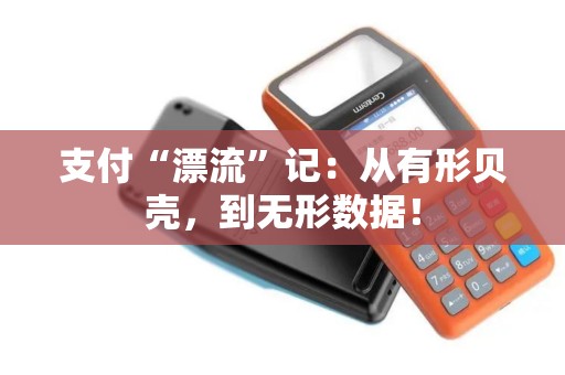支付“漂流”记：从有形贝壳，到无形数据！