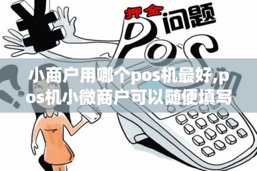 小商户用哪个pos机最好,pos机小微商户可以随便填写吗