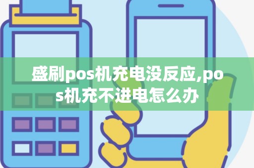 盛刷pos机充电没反应,pos机充不进电怎么办