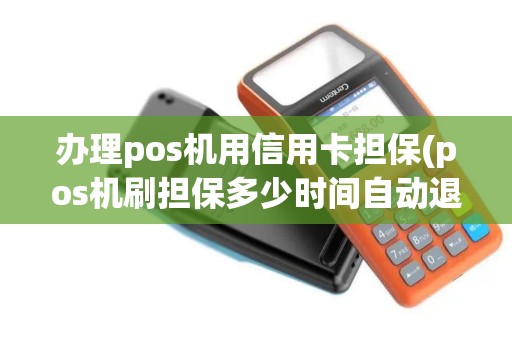 办理pos机用信用卡担保(pos机刷担保多少时间自动退回)