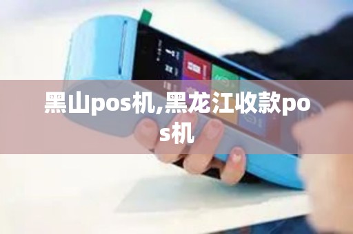 黑山pos机,黑龙江收款pos机