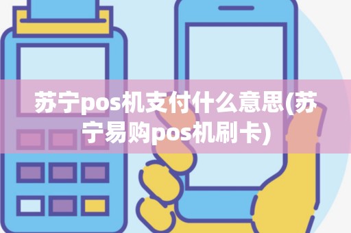 苏宁pos机支付什么意思(苏宁易购pos机刷卡)