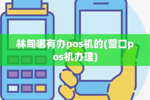 林甸哪有办pos机的(营口pos机办理)