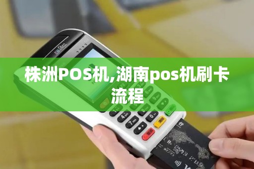 株洲POS机,湖南pos机刷卡流程