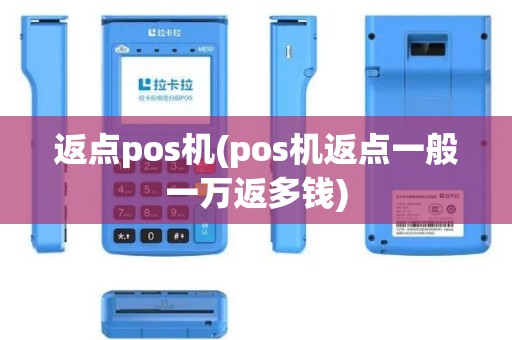 返点pos机(pos机返点一般一万返多钱)