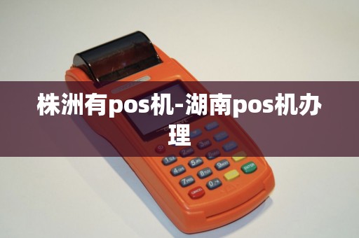 株洲有pos机-湖南pos机办理