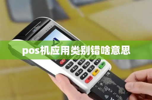pos机应用类别错啥意思