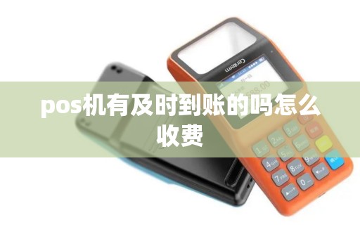 pos机有及时到账的吗怎么收费