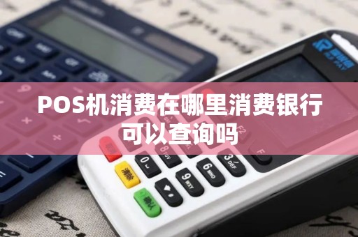 POS机消费在哪里消费银行可以查询吗