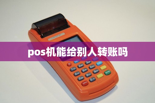 pos机能给别人转账吗